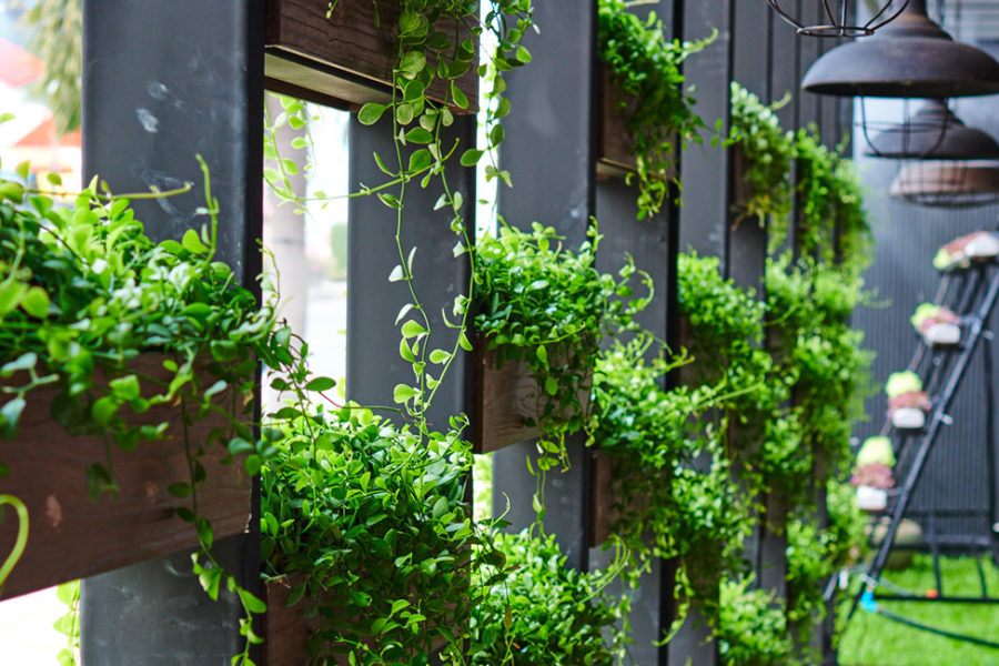 Green Building Design Ideas for Your Commercial Space